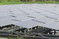 320W mono solar panel Fish Pond Residential Sistem Tenaga Surya 3.2 Mm Thick Tempered Glass